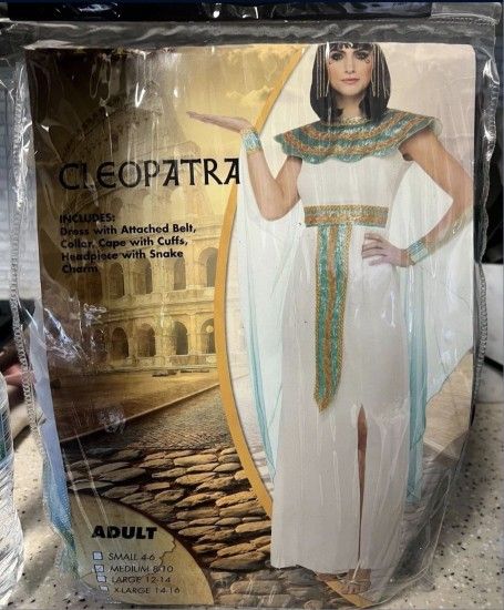 SPIRIT HALLOWEEN COSTUME
CLEOPATRA (WOMENS SIZE MEDIUM)