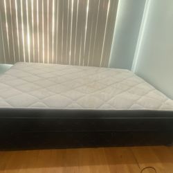 Queen Size Bed With Box Spring