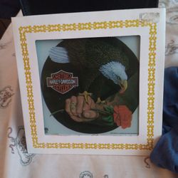 Harley Davidson  Plack