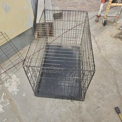 Animal Cage