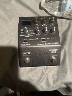 Boss RV-200