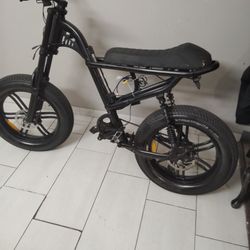 used e bike 