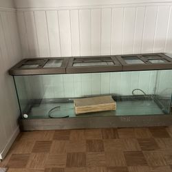 Reptile Tank 