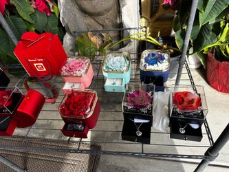 Eternal Real Roses