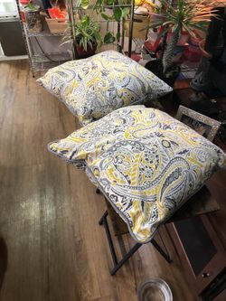 Two Pillows Both $8