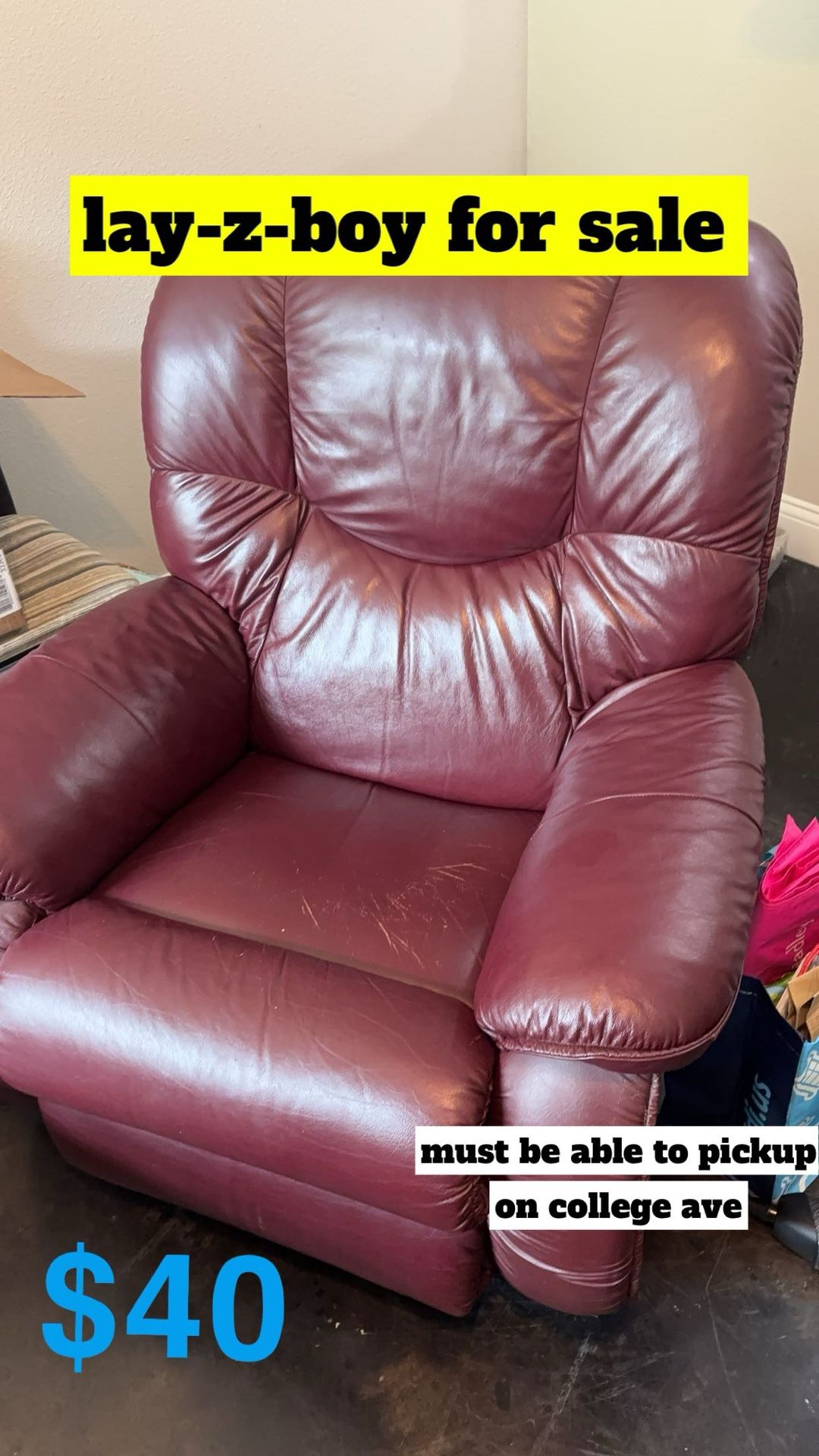 Lay-Z-Boy Recliner
