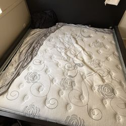 King Size Bed With Mattress 