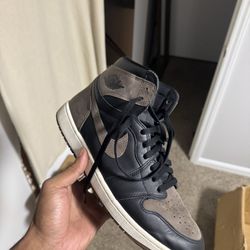 Palomino 1s 