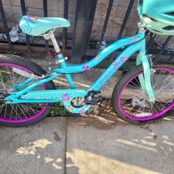 Schwinn Bike  (Kids Bike)