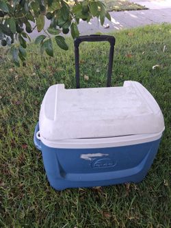 Ice cooler works good used condition $25