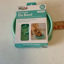 Fun Feeder Slow Bowl 5.5” Round