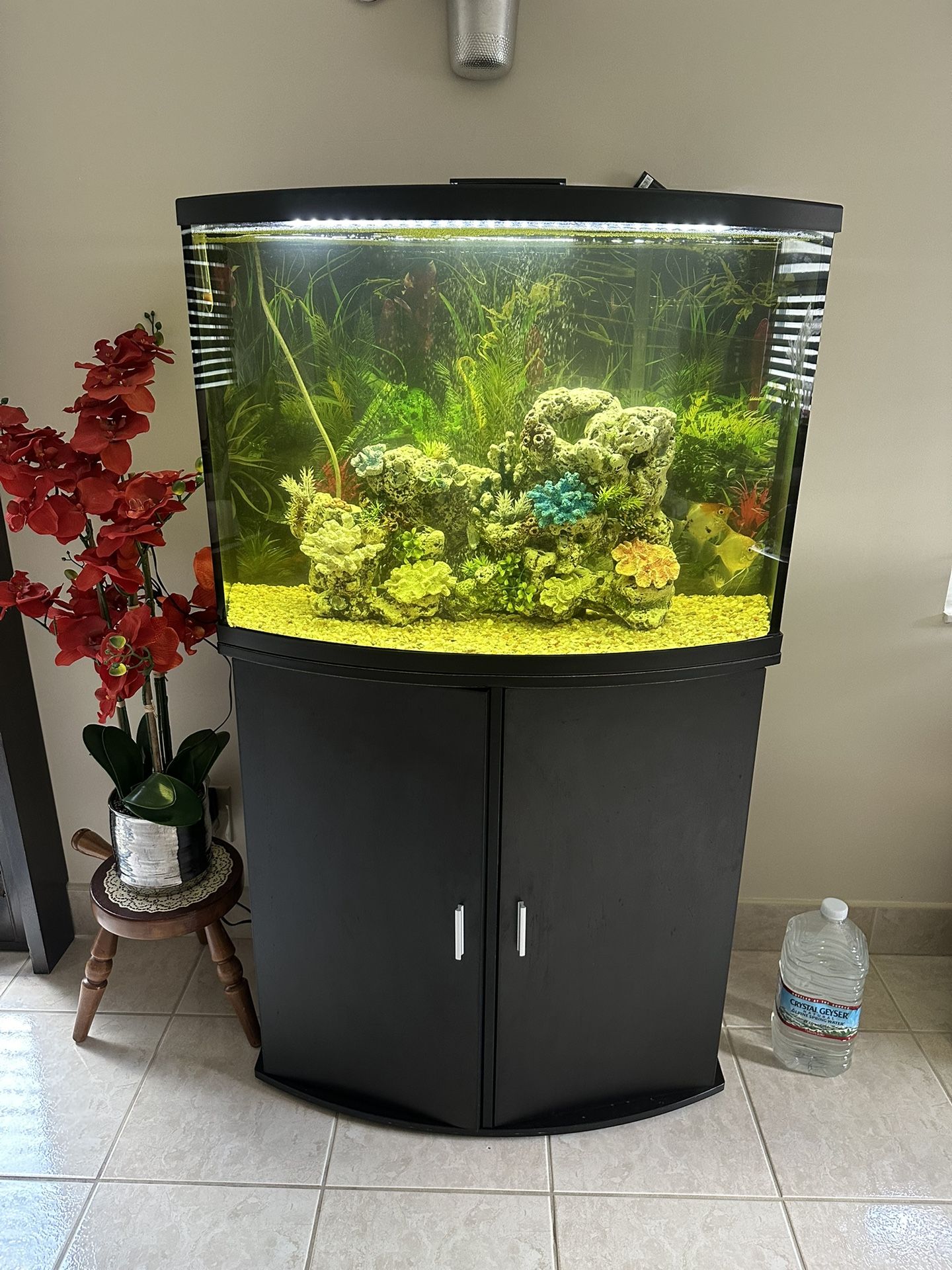 Fish Tank 36 Gallon Bow Front Tank And Stand