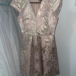 Vince Camuto Pink and Gold Dress