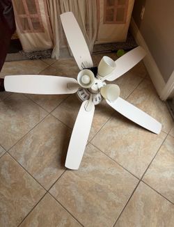 Free Fans