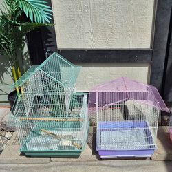 Bird Cage 🐦