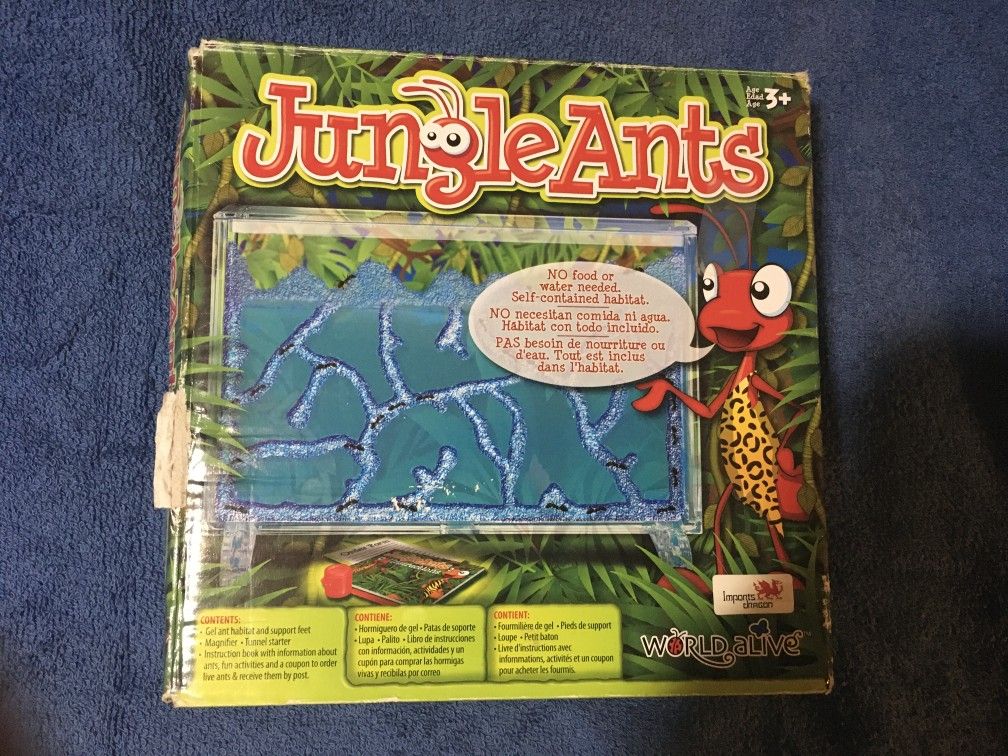 Jungle Ants for kids