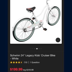 24’ Beach Cruiser New 