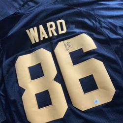 Heinz Ward Jersey 