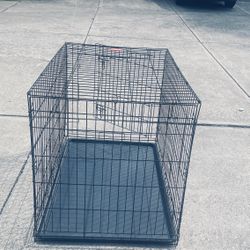 Large Dog Crate