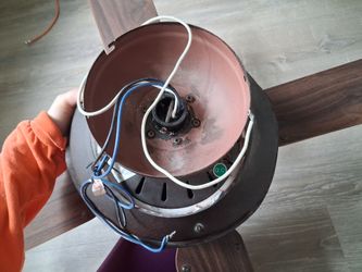 Ceiling fan