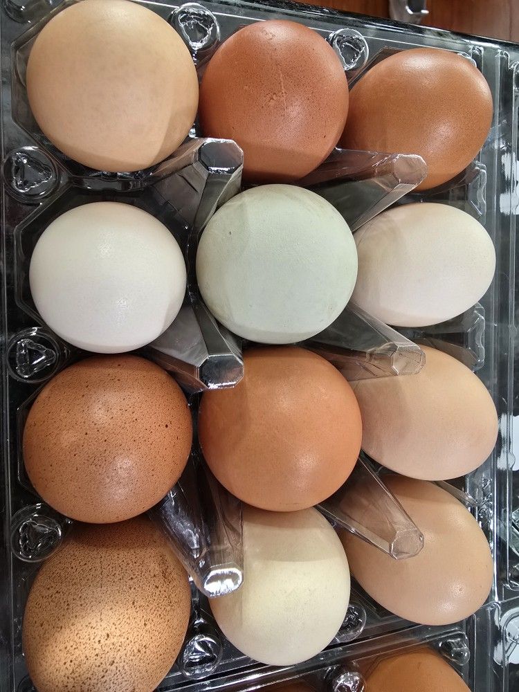 Fresg Eggs / Huevos Frescos