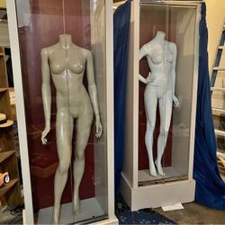 Museum quality display case *mannequin not included