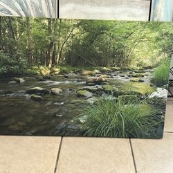 Nice Greenery Picture 