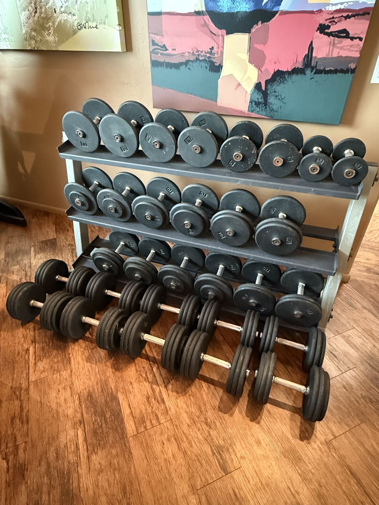 Professional Dumbbell Set with Rack