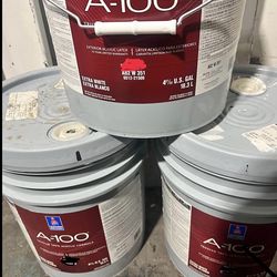 Paint Exterior. See Pictures And Descriptions About Colors. Each Bucket $80