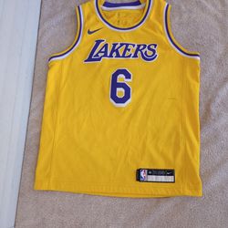 Nike LeBron James Los Angeles Lakers #6 Swingman Jersey