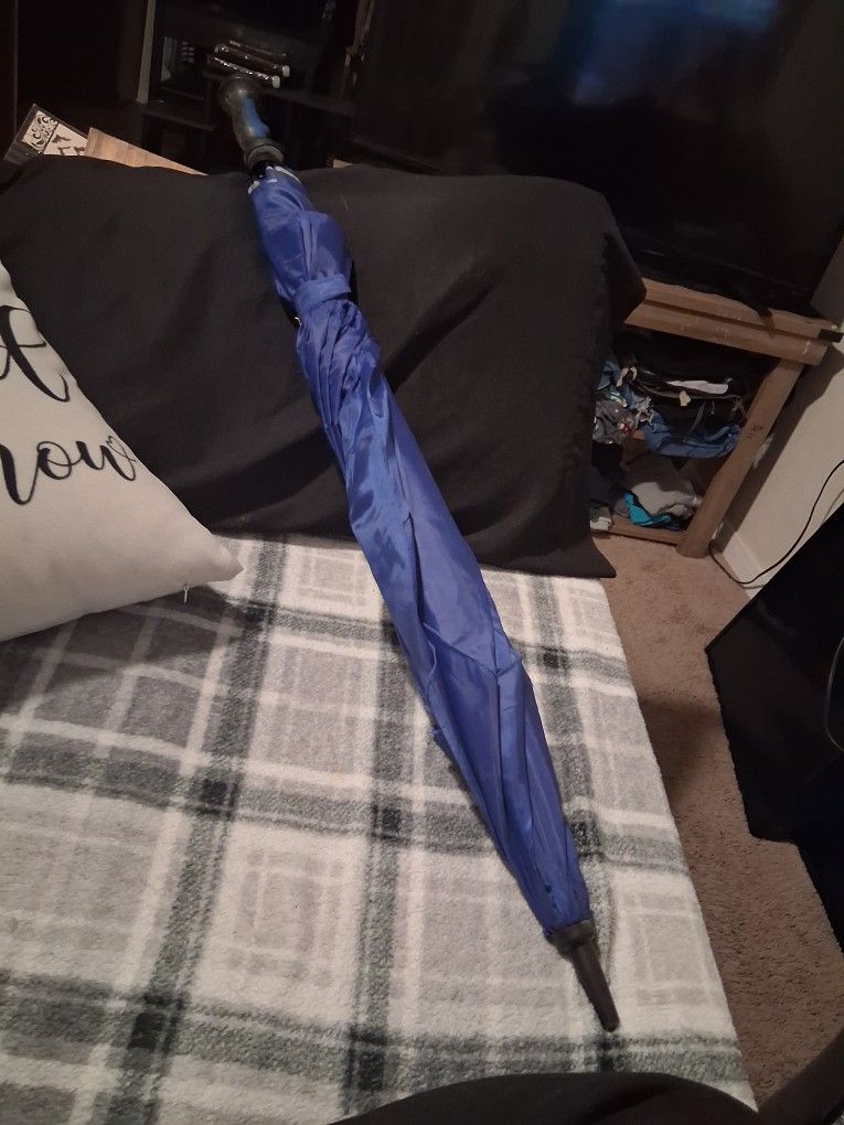 Large Blue Umbrella