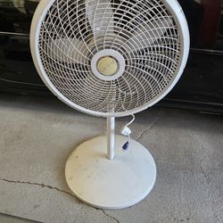 Fan