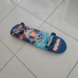 Santa Cruz Delfino Skateboard 32" Bullet Trucks