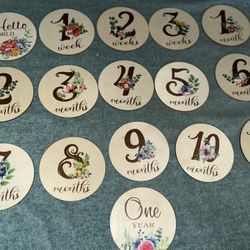New Double Sided Baby Girl Floral Milestones Set  16 Pcs