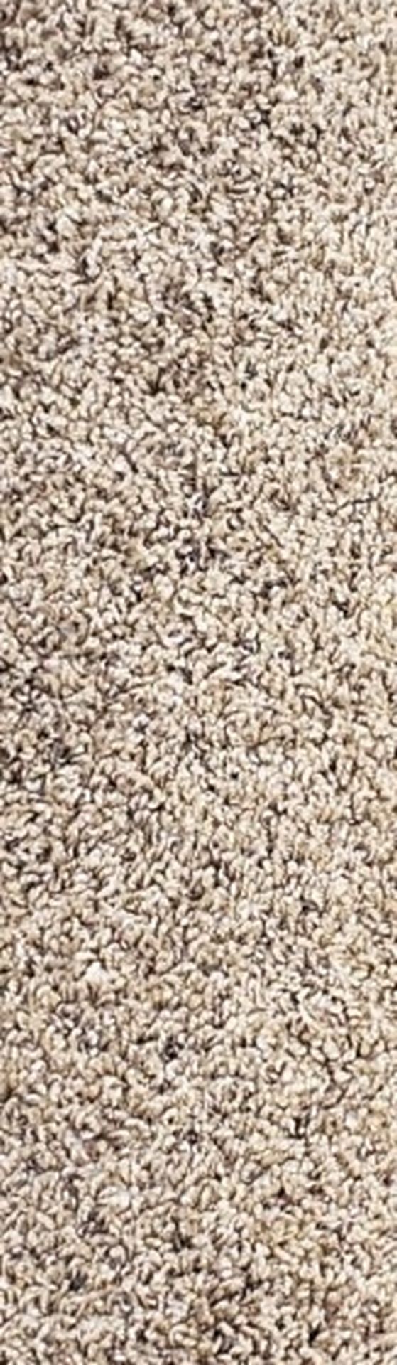 Scrap Remnant Carpet 6'6"x 5'