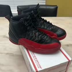 Jordan 12 Flu Game 