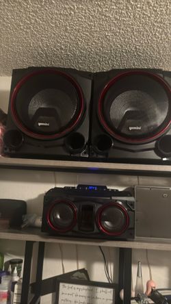 Gemini Stereo System