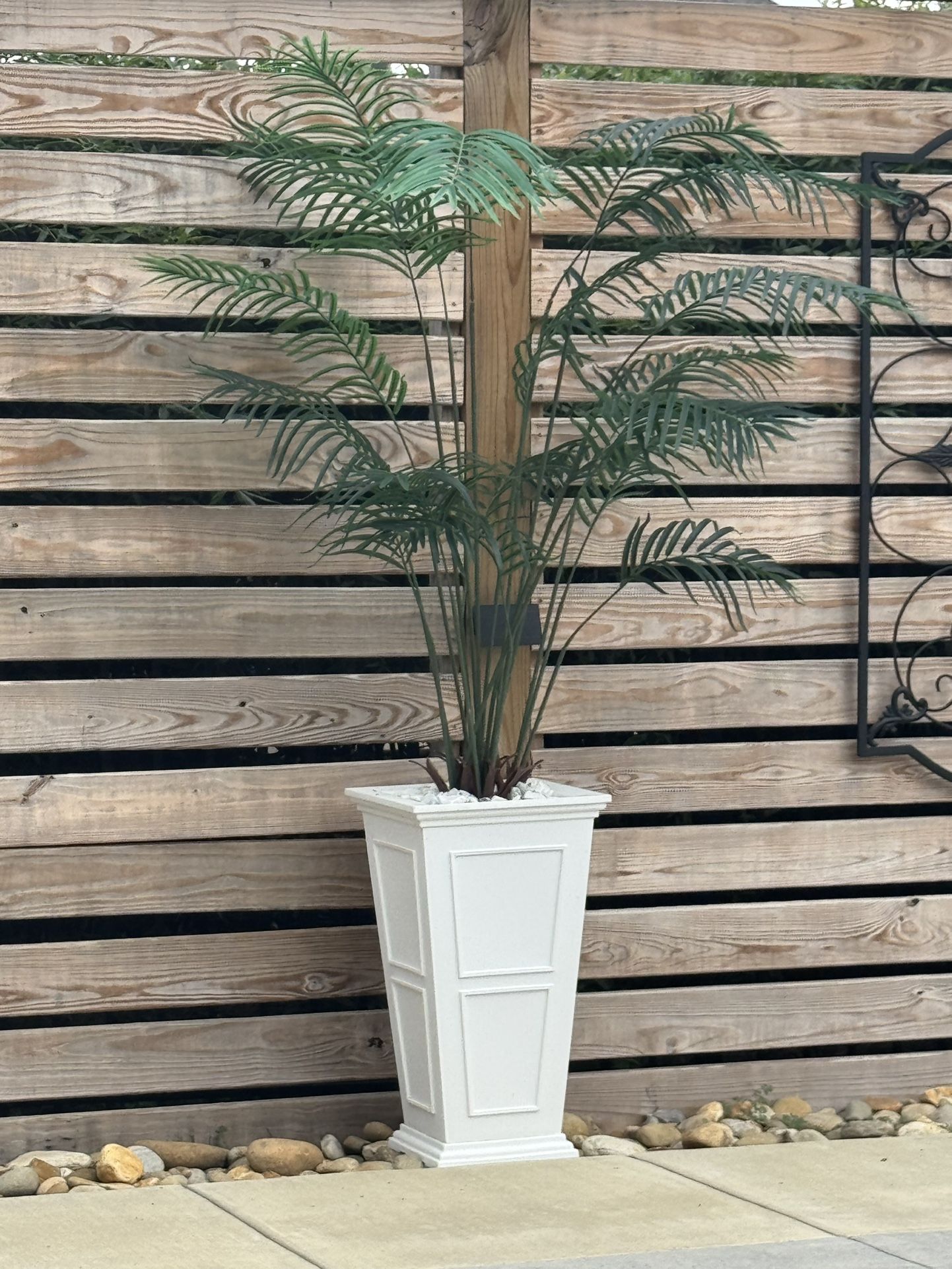 Outdoor Palm Tree