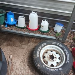 Chicken Waters And Feeders