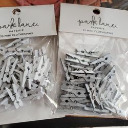 Crafting Mini Clothespins X2 Pk