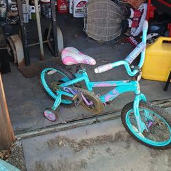 Little Bike With Training Wheels