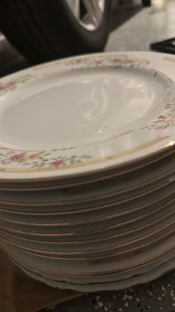 Set of 11 Vintage Floral Dinner Plates
