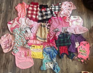 Clothes for Dog 🐶