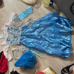 Elsa Costume 