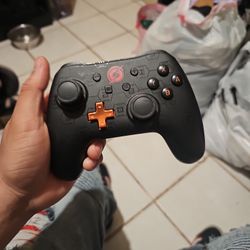 Nintendo Switch Wired Controller