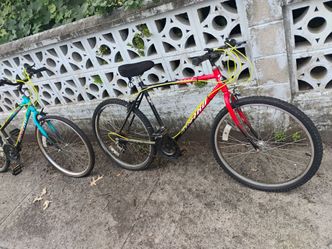 Vintage his n hers Murray bicycle 26" wheels