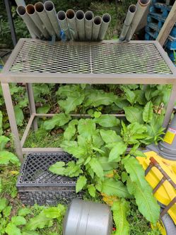 Stainless Shop Bench