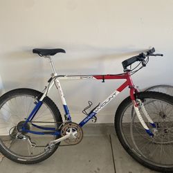 1991 Paramount Series 90 Mountain Bike