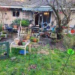 4/4 Plant Household Comic Sale 