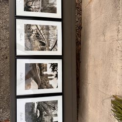 A series of 4 black-and-white photographs of Central Park, New York.